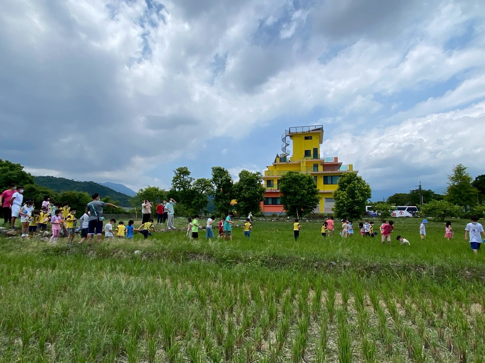 黃昏稻田
